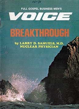 1980 June VOICE Magazine